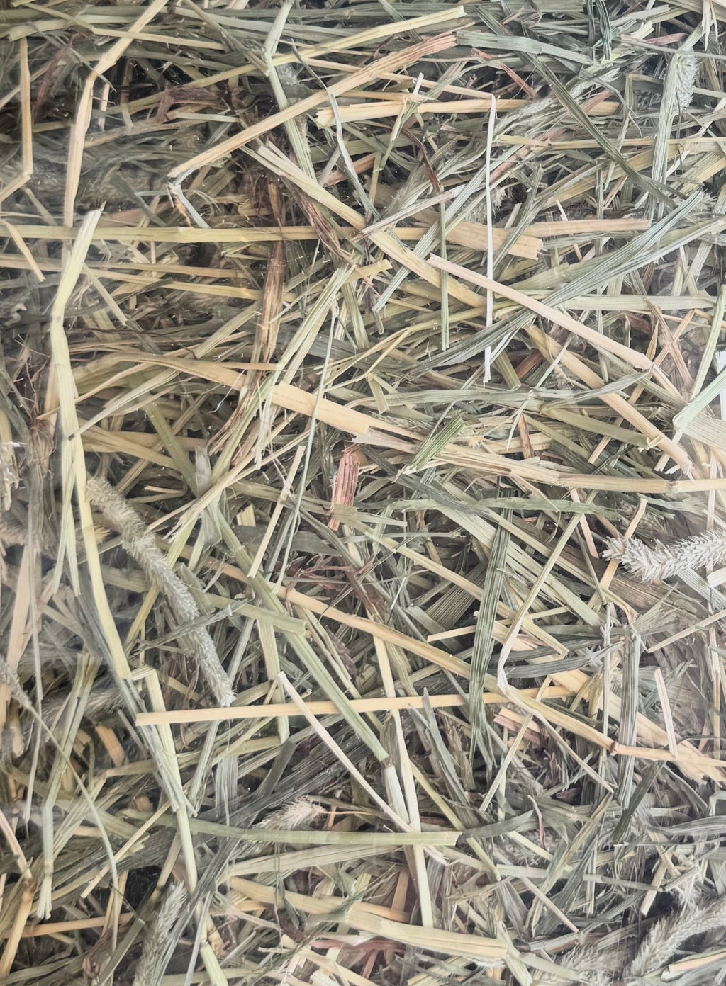 Premium Timothy Hay (5gal bag)