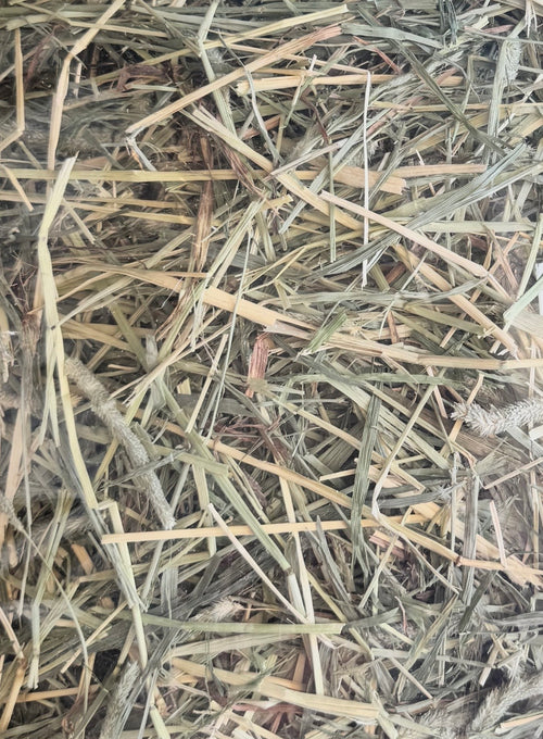 Premium Timothy Hay (5gal bag)